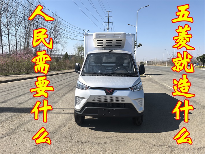 五菱新能源电动 “冰宝”小型冷藏车