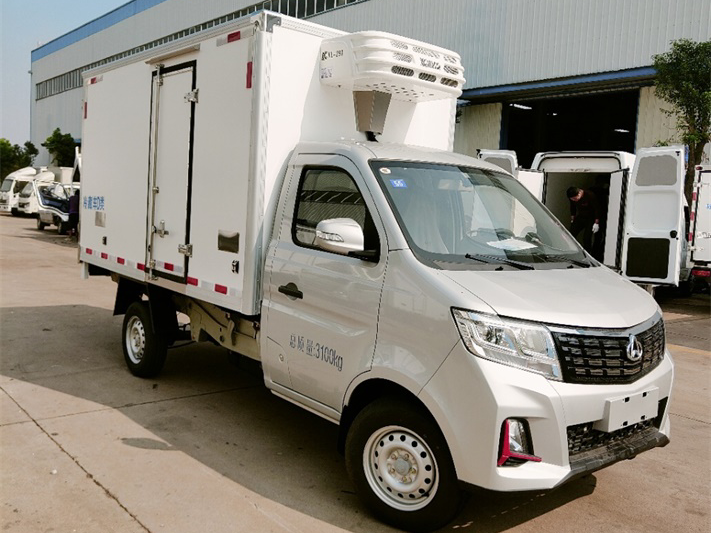 湖北热门冷链物流车排名大揭秘